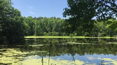 A body of water Stock Footage 155594129