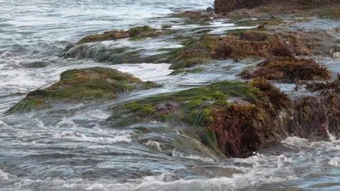 A body of water Stock Footage 156015666