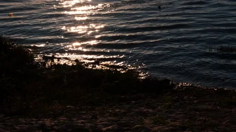 A body of water 스톡 동영상 157871626