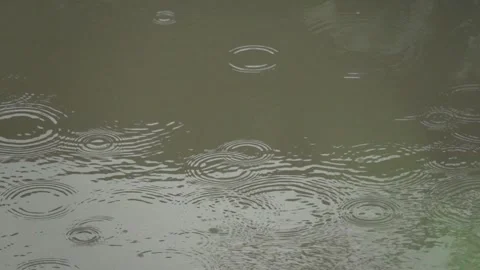 A body of water with raindrops falling on it Stock Footage 295110105