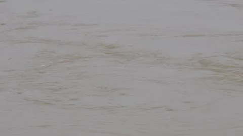 The body of the water of river is rotating Stock-Footage 314563174