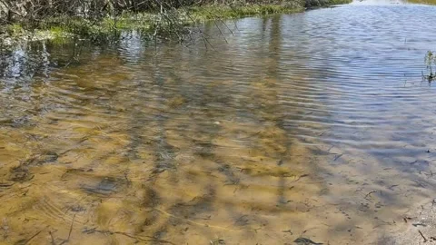 A body of water with small ripples on the surface. Stock Footage 194955157