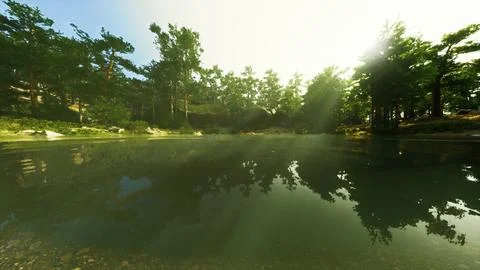 A body of water surrounded by trees and grass Stock Illustration