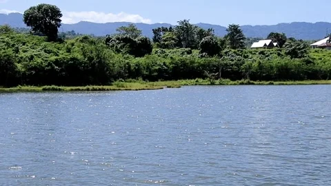 A body of water with trees in the background Video stock 279619604