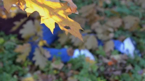 Body in the Woods Vidéo 45529647