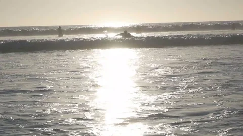 Bodyboarding Stock Footage 123452428