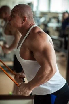 Bodybuilder does an exercise for triceps Stock Photos