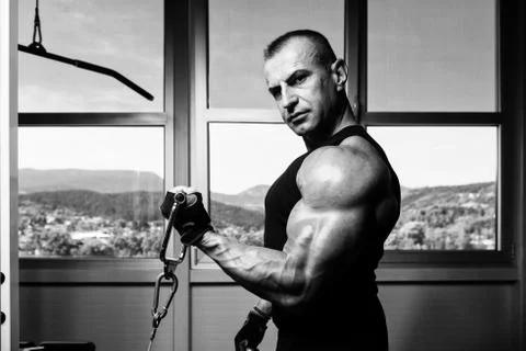 Bodybuilder Doing Heavy Weight Exercise For Biceps Stock Photos