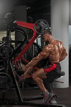 Bodybuilder performs seated machine workout targeting back muscles in Stock Photos