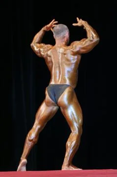 Bodybuilder Stock Photos
