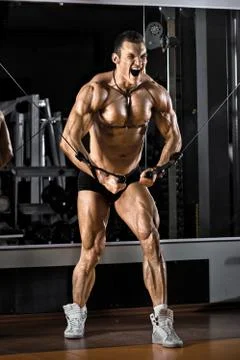 Bodybuilder Stock Photos