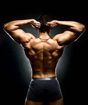 Bodybuilder Stock Photos