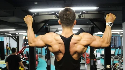 Bodybuilder shows the muscles of the back when tightening Stock Footage 113175879
