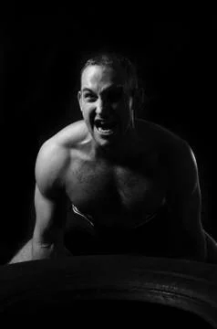 Bodybuilder training in the gym Stock Photos