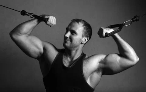 Bodybuilder training in the gym Stock Photos
