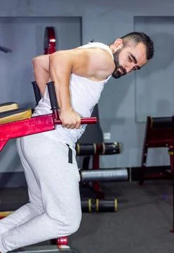 Bodybuilder training in the gym Stock Photos