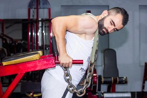 Bodybuilder training in the gym Stock Photos