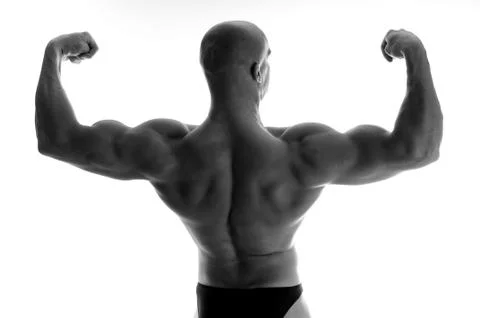 Bodybuilding Stock Photos