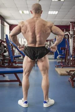 Bodybuilding Stock Photos
