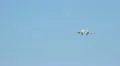 Boeing 737-500 Yamal Airlines, landing in the airport HD Footage