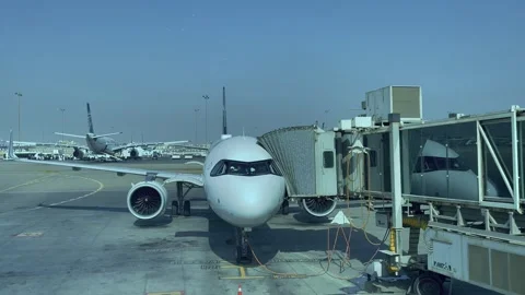 Boeing 737 air craft is preparing for flight, Cairo, Egypt 08-01-2024 Stock-Footage 282785415