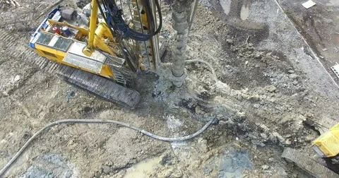 Boer Bore The Ground Video stock 76095633