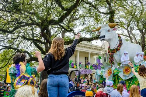Boeuf Gras Float on St. Charles Avenue on Mardi Gras Stock Photos