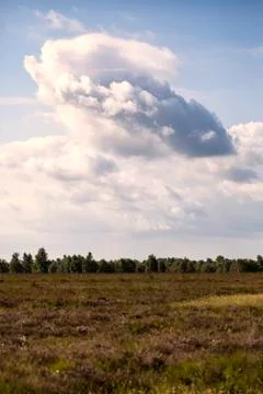 Bog - Cloud Stock Photos