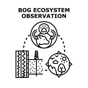 Bog ecosystem observation analyzing environmental impact concept Stock Illustration