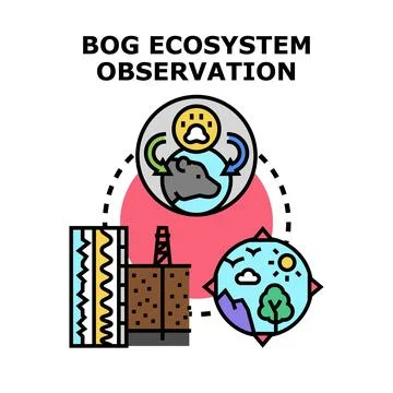 Bog ecosystem observation analyzing environmental impact concept Stock Illustration