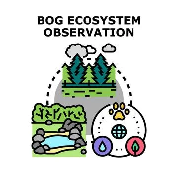 Bog ecosystem observation for environmental research Stock Illustration