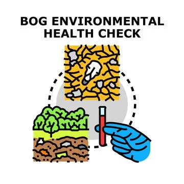 Bog ecosystem researching and environmental health checking Illustrazione stock