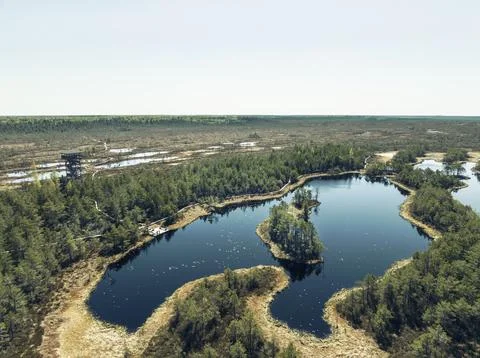 Bog lake Foto stock