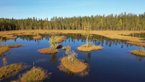 Bog with lakes Scenic landscape Drone 4K Stock Footage 252196020