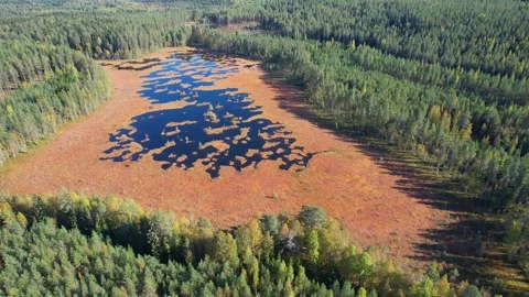Bog with lakes Scenic landscape Drone 4K Vídeo Stock 252196928