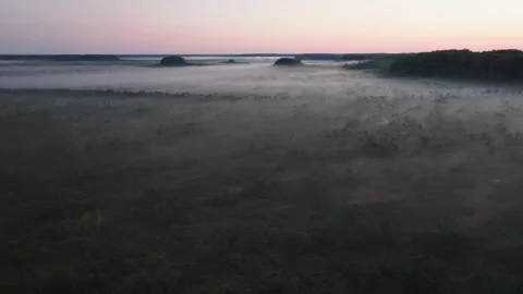 Bog sunrise Stock Footage 311951687