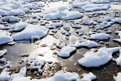 Bog under sow Stock Photos