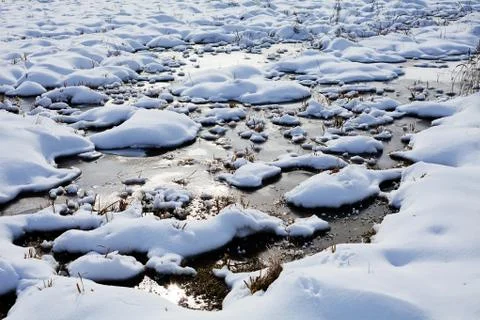 Bog under sow Stock Photos