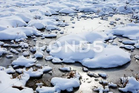 Bog under sow Stock Photos