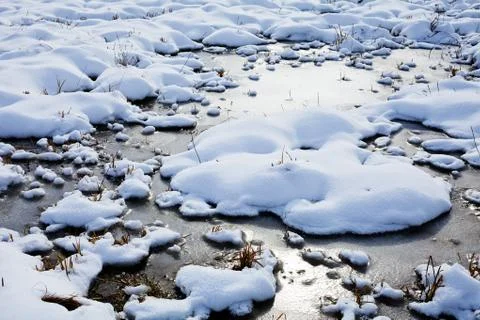 Bog under sow Stock Photos