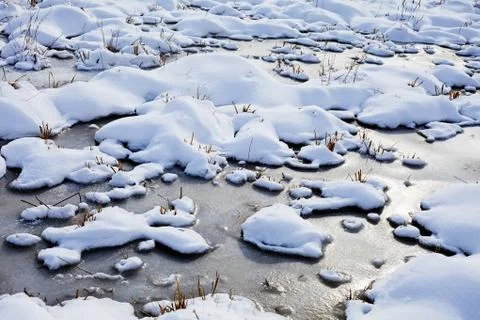Bog under sow Stock Photos