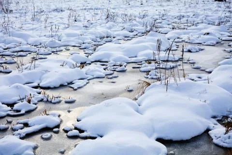 Bog under sow Stock Photos