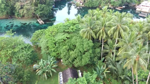 Bogac Cold Spring 001 Stock Footage 152368127