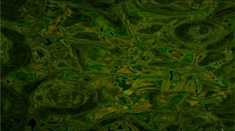 Boggy Waters Stock Footage 105731