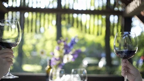 BOGOLVAR NEW 288 g1 Stock Footage 126243337