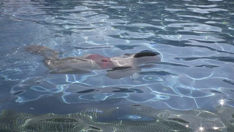 BOGOLVAR NEW 76 g1 Stock Footage 126237406