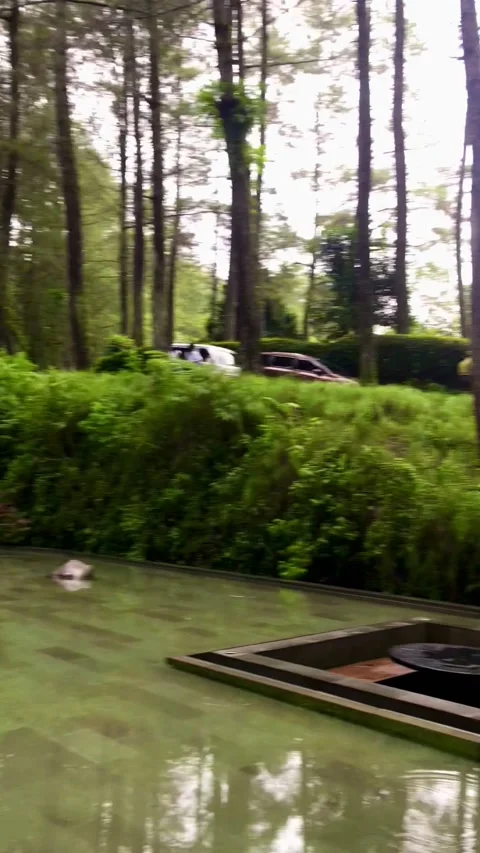 Bogor Cafe Stock Footage 218347656