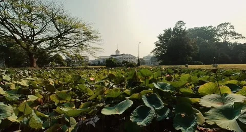 The Bogor palace backyard 1 Video stock 280904513