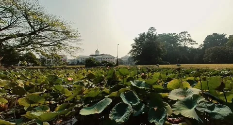 The Bogor palace backyard 2 Stock Footage 280904520