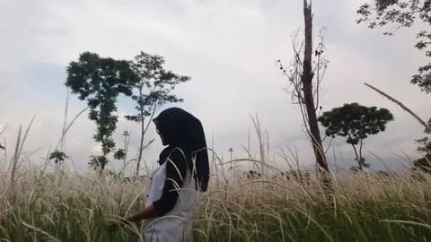 Bogorizen Stock-Fotos